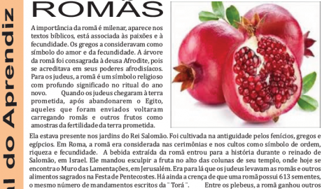 Jornal do Aprendiz - Nº 75 - Setembro 2015 Ano VII - ARLS Amparo da Virtude, 0276 Oriente de Pesqueira PE